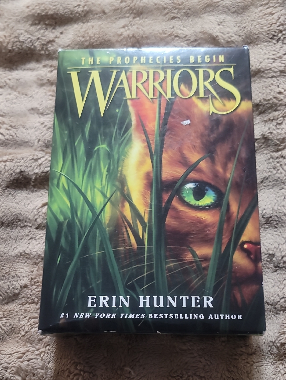 Warriors: The Prophecies Begin by Hunter - Green & Orange Cover